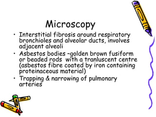 Microscopy
• Interstitial fibrosis around respiratory
bronchioles and alveolar ducts, involves
adjacent alveoli
• Asbestos bodies –golden brown fusiform
or beaded rods with a tranluscent centre
(asbestos fibre coated by iron containing
proteinaceous material)
• Trapping & narrowing of pulmonary
arteries
 