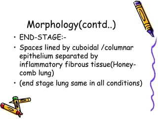 Morphology(contd..)
• END-STAGE:-
• Spaces lined by cuboidal /columnar
epithelium separated by
inflammatory fibrous tissue(Honey-
comb lung)
• (end stage lung same in all conditions)
 