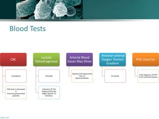 Blood Tests
CBC
Leukopenia
CD4 level is decreased
in
Immunocompromised
paitients
Lactate
Dehydrogenase
Elevated
Indicative Of The
Diagnosis But Not
Highly Specific Or
Sensitive.
Arterial Blood
Gases May Show
Hypoxia And Hypocarbia
Due To
Hyperventilation.
Alveolar-arterial
Oxygen Tension
Gradient
Increased.
PCR Used For
Early Diagnosis Of PCP
In Hiv-infected Patients.
 