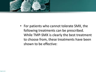 • For patients who cannot tolerate SMX, the
following treatments can be prescribed.
While TMP-SMX is clearly the best treatment
to choose from, these treatments have been
shown to be effective:
 