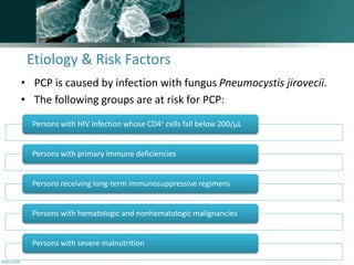 Etiology & Risk Factors
• PCP is caused by infection with fungus Pneumocystis jirovecii.
• The following groups are at risk for PCP:
Persons with HIV infection whose CD4+ cells fall below 200/µL
Persons with primary immune deficiencies
Persons receiving long-term immunosuppressive regimens
Persons with hematologic and nonhematologic malignancies
Persons with severe malnutrition
 