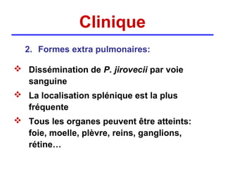 Clinique
  2. Formes extra pulmonaires:

 Dissémination de P. jirovecii par voie
  sanguine
 La localisation splénique est la plus
  fréquente
 Tous les organes peuvent être atteints:
  foie, moelle, plèvre, reins, ganglions,
  rétine…
 