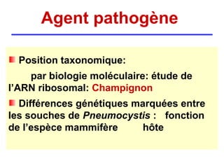 Agent pathogène

  Position taxonomique:
    par biologie moléculaire: étude de
l’ARN ribosomal: Champignon
  Différences génétiques marquées entre
les souches de Pneumocystis : fonction
de l’espèce mammifère      hôte
 