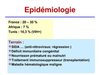 Epidémiologie
France : 20 – 30 %
Afrique : 7 %
Tunis : 10,3 % (VIH+)


Terrain :
SIDA … (anti-rétroviraux: régression )
Déficit immunitaire congénital
Nourrisson prématuré ou malnutri
Traitement immunosuppresseur (transplantation)
Maladie hématologique maligne
 
