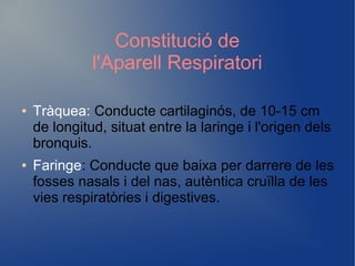 Constitució de
l'Aparell Respiratori
● Tràquea: Conducte cartilaginós, de 10-15 cm
de longitud, situat entre la laringe i l'origen dels
bronquis.
● Faringe: Conducte que baixa per darrere de les
fosses nasals i del nas, autèntica cruïlla de les
vies respiratòries i digestives.
 