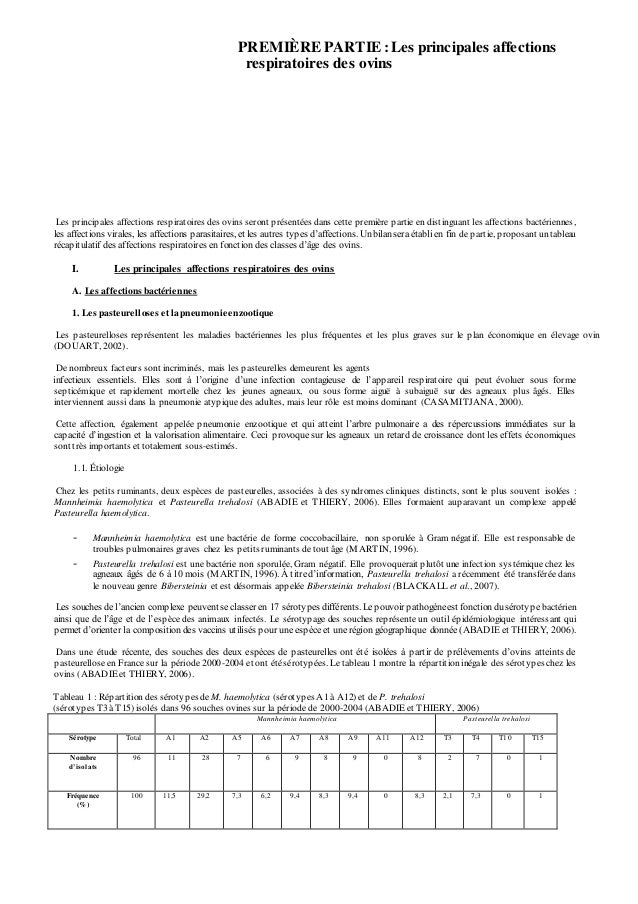 Pneumologie Affections Respiratoires Ovines
