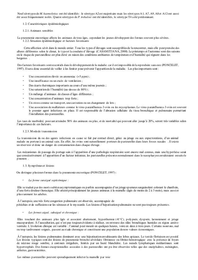 Pneumologie Affections Respiratoires Ovines