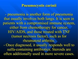 Pneumocystis carinii - pneumonia is another form of pneumonia that usually involves both lungs. It is seen in patients with a compromised immune system, either from chemotherapy for cancer, HIV/AIDS, and those treated with TNF (tumor necrosis factor), such as for rheumatoid arthritis. - Once diagnosed, it usually responds well to sulfa-containing antibiotics. Steroids are often additionally used in more severe cases. 