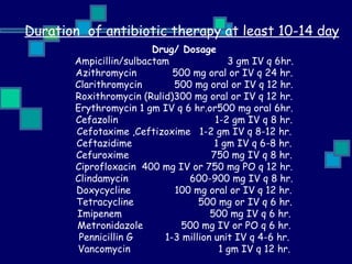 Duration  of antibiotic therapy at least 10-14 day Drug/ Dosage Ampicillin/sulbactam   3 gm IV q 6hr. Azithromycin    500 mg oral or IV q 24 hr. Clarithromycin  500 mg oral or IV q 12 hr. Roxithromycin ( Rulid )300 mg oral or IV q 12 hr. E rythromycin  1 gm IV q 6 hr.or500 mg oral 6hr. Cefazolin  1-2 gm IV q 8 hr. Cefotaxime ,Ceftizoxime  1-2 gm IV q 8-12 hr. Ceftazidime  1 gm IV q 6-8 hr. Cefuroxime  750 mg IV q 8 hr. Ciprofloxacin  400 mg IV or 750 mg PO q 12 hr. Clindamycin  600-900 mg IV q 8 hr. Doxycycline  100 mg oral or IV q 12 hr. Tetracycline  500 mg or IV q 6 hr. Imipenem  500 mg IV q 6 hr. Metronidazole  500 mg IV or PO q 6 hr. Pennicillin G  1-3 million unit IV q 4-6 hr. Vancomycin  1 gm IV q 12 hr. 