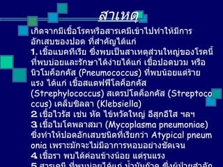 สาเหตุ เ กิดจากมีเชื้อโรคหรือสารเคมีเข้าไปทำให้มีการอักเสบของปอด ที่สำคัญได้แก่  1.  เชื้อแบคทีเรีย ซึ่งพบเป็นสาเหตุส่วนใหญ่ของโรคนี้ ที่พบบ่อยและรักษาได้ง่ายได้แก่ เชื้อปอดบวม หรือ นิวโมค็อกคัส  (Pneumococcus)   ที่พบน้อยแต่ร้ายแรง ได้แก่ เชื้อสแตฟฟีโลค็อกคัส  (Strephylococcus)   สเตรปโตค็อกคัส   (Streptococcus)   เคล็บซิลลา   (Klebsiella)   2.  เชื้อไวรัส เช่น หัด ไข้หวัดใหญ่ อีสุกอีใส ฯลฯ   3.  เชื้อไมโคพลาสมา   (Mycoplasma pneumoniae)   ซึ่งทำให้ปอดอักเสบชนิดที่เรียกว่า   Atypical pneumonia   เพราะมักจะไม่มีอาการหอบอย่างชัดเจน  4.  เชื้อรา พบได้ค่อนข้างน้อย แต่รุนแรง   5.  สารเคมี ที่พบบ่อยได้แก่ น้ำมันก๊าด ซึ่งผู้ป่วยสำลักเข้าไปในปอด มักจะเป็นที่ปอดข้างขวามากกว่าข้างซ้าย 