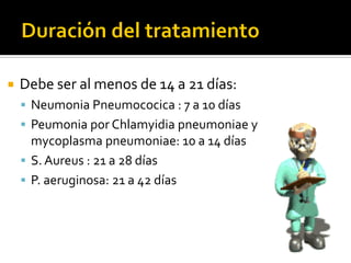    Debe ser al menos de 14 a 21 días:
     Neumonia Pneumococica : 7 a 10 días
     Peumonia por Chlamyidia pneumoniae y
      mycoplasma pneumoniae: 10 a 14 días
     S. Aureus : 21 a 28 días
     P. aeruginosa: 21 a 42 días
 