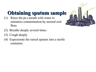 Obtaining sputum sampleObtaining sputum sample
(1) Rinse the pt.s mouth with water to
minimize contamination by normal oral
flora
(2) Breathe deeply several times
(3) Cough deeply
(4) Expectorate the raised sputum into a sterile
container.
 