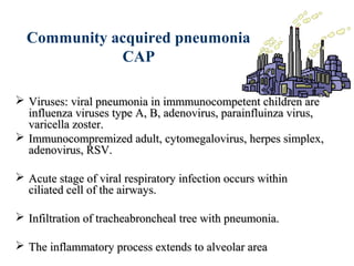 Community acquired pneumonia
CAP
 Viruses: viral pneumonia in immmunocompetent children areViruses: viral pneumonia in immmunocompetent children are
influenza viruses type A, B, adenovirus, parainfluinza virus,influenza viruses type A, B, adenovirus, parainfluinza virus,
varicella zoster.varicella zoster.
 Immunocompremized adult, cytomegalovirus, herpes simplex,Immunocompremized adult, cytomegalovirus, herpes simplex,
adenovirus, RSV.adenovirus, RSV.
 Acute stage of viral respiratory infection occurs withinAcute stage of viral respiratory infection occurs within
ciliated cell of the airways.ciliated cell of the airways.
 Infiltration of tracheabroncheal tree with pneumonia.Infiltration of tracheabroncheal tree with pneumonia.
 The inflammatory process extends to alveolar areaThe inflammatory process extends to alveolar area
 