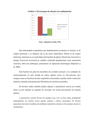 Gráfico 1: Porcentagem de afecções em confinamento.
Fonte: Adaptado de Smith, 1994.
Das enfermidades respiratórias que freqüentemente acometem os animais, as de
origem bacteriana e as alérgicas são as de maior importância. Dentre as de origem
bacteriana, destacam-se as ocasionadas pela bactéria do gênero Mannheima haemolytica
(antiga Pasteurella haemolytica), também conhecida popularmente como pneumonia
enzoótica, febre dos embarques, pasteurelose ou septicemia hemorrágica (Radostits et
al, 2002).
Esta bactéria faz parte da microflora da cavidade oronasal e em condições de
imunossupressão ou pela entrada de outros agentes (vírus ou Mycoplasmas sp.),
rompem assim as barreiras do trato respiratório colonizando a porção crânio-ventral dos
pulmões causando uma pneumonia fribrinótica nos animais acometidos.
Os bovinos sadios também podem adquirir a pasteurelose através do contato
direto ou por inalação ou ingestão de secreções oro nasais provenientes de animais
doentes.
A pasteurelose acomete bovinos de qualquer raça, sexo ou faixa etária, predispondo
principalmente em animais jovens quando expostos a fatores estressantes. Os bovinos
apresentam uma maior incidência de problemas respiratórios durante as três semanas iniciais no
confinamento.
 