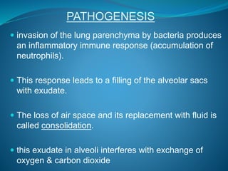 PATHOGENESIS
 invasion of the lung parenchyma by bacteria produces
an inflammatory immune response (accumulation of
neutrophils).
 This response leads to a filling of the alveolar sacs
with exudate.
 The loss of air space and its replacement with fluid is
called consolidation.
 this exudate in alveoli interferes with exchange of
oxygen & carbon dioxide
 