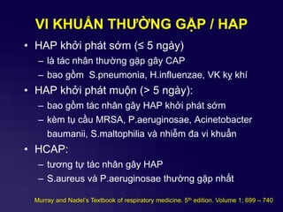 VI KHUẨN THƢỜNG GẶP / HAP
• HAP khởi phát sớm (≤ 5 ngày)
– là tác nhân thường gặp gây CAP
– bao gồm S.pneumonia, H.influenzae, VK kỵ khí
• HAP khởi phát muộn (> 5 ngày):
– bao gồm tác nhân gây HAP khởi phát sớm
– kèm tụ cầu MRSA, P.aeruginosae, Acinetobacter
baumanii, S.maltophilia và nhiễm đa vi khuẩn
• HCAP:
– tương tự tác nhân gây HAP
– S.aureus và P.aeruginosae thường gặp nhất
Murray and Nadel’s Textbook of respiratory medicine. 5th edition. Volume 1; 699 – 740
 