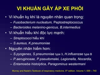 VI KHUẨN GÂY ÁP XE PHỔI
• Vi khuẩn kỵ khí là nguyên nhân quan trọng:
– Fusobacterium nucleatum, Peptostreptococcus
– Bacteroides melanino-genicus, B.intermedius
• Vi khuẩn hiếu khí độc lực mạnh:
– Streptococci hiếu khí
– S.aureus, K.pneumoniae
• Nguyên nhân hiếm hơn:
– S.pyogenes, S.pneumoniae type 3, H.influenzae type B
– P.aeruginosae, P.pseudomalei, Legionella, Nocardia,
– Entamoeba histolytica, Paragominus westermani
Murray and Nadel’s Textbook of respiratory medicine. 5th edition. Volume 1; 699 – 740
 