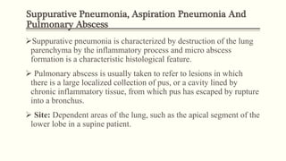 Suppurative Pneumonia, Aspiration Pneumonia And
Pulmonary Abscess
Suppurative pneumonia is characterized by destruction of the lung
parenchyma by the inflammatory process and micro abscess
formation is a characteristic histological feature.
 Pulmonary abscess is usually taken to refer to lesions in which
there is a large localized collection of pus, or a cavity lined by
chronic inflammatory tissue, from which pus has escaped by rupture
into a bronchus.
 Site: Dependent areas of the lung, such as the apical segment of the
lower lobe in a supine patient.
 