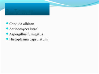 3. Jamur
Candida albican
Actinomyces israeli
Aspergillus fumigatus
Histoplasma capsulatum
 