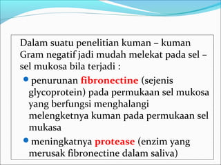 Dalam suatu penelitian kuman – kuman
Gram negatif jadi mudah melekat pada sel –
sel mukosa bila terjadi :
penurunan fibronectine (sejenis
glycoprotein) pada permukaan sel mukosa
yang berfungsi menghalangi
melengketnya kuman pada permukaan sel
mukasa
meningkatnya protease (enzim yang
merusak fibronectine dalam saliva)
 