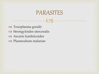 
 Toxoplasma gondii
 Strongyloides stercoralis
 Ascaris lumbricoides
 Plasmodium malariae
PARASITES
 