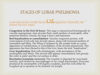 Lobar pneumonia usually has an acute progression. Classically, the
disease has four stages:
Congestion in the first 24 hours: This stage is characterized histologically by
vascular engorgement, intra-alveolar fluid, small numbers of neutrophils, often
numerous bacteria. Grossly, the lung is heavy and hyperemic
Red hepatization or consolidation: Vascular congestion persists, with
extravasation of red cells into alveolar spaces, along with increased numbers of
neutrophils and fibrin. The filling of airspaces by the exudate leads to a gross
appearance of solidification, or consolidation, of the alveolar parenchyma. This
appearance has been likened to that of the liver, hence the term "hepatization".
Grey hepatization: Red cells disintegrate, with persistence of the
neutrophils and fibrin. The alveoli still appear consolidated, but grossly
the color is paler and the cut surface is drier.
Resolution (complete recovery): The exudate is digested by enzymatic
activity, and cleared by macrophages or by cough mechanism. Enzymes
produced by neutrophils will liquify exudates, and this will either be
coughed up in sputum or be drained via lymph.
STAGES OF LOBAR PNEUMONIA
 
