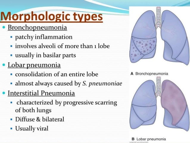 types of phenomena