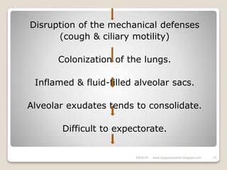 Disruption of the mechanical defenses
(cough & ciliary motility)
Colonization of the lungs.
Inflamed & fluid-filled alveolar sacs.
Alveolar exudates tends to consolidate.
Difficult to expectorate.
6/6/2018 10www.drjayeshpatidar.blogspot.com
 