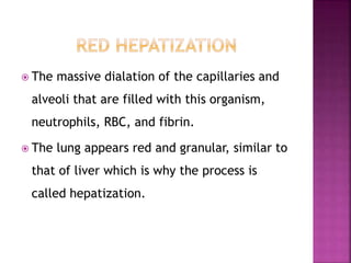  The massive dialation of the capillaries and
alveoli that are filled with this organism,
neutrophils, RBC, and fibrin.
 The lung appears red and granular, similar to
that of liver which is why the process is
called hepatization.
 