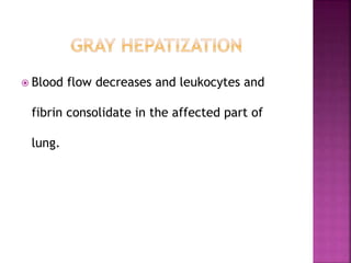  Blood flow decreases and leukocytes and
fibrin consolidate in the affected part of
lung.
 
