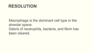 RESOLUTION
Macrophage is the dominant cell type in the
alveolar space.
Debris of neutrophils, bacteria, and fibrin has
been cleared.
 