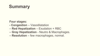 Summary
Four stages:
- Congestion – Vasodilatation
– Red Hepatization – Exudation + RBC
– Gray Hepatization - Neutro & Macrophages.
– Resolution – few macrophages, normal.
 
