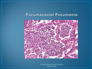 Dr Nadia Shams Associate Professor
Medicine RIHS
 