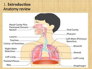 1. Introduction
Anatomy review
3
 