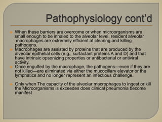  When these barriers are overcome or when microorganisms are
small enough to be inhaled to the alveolar level, resident alveolar
macrophages are extremely efficient at clearing and killing
pathogens.
 Macrophages are assisted by proteins that are produced by the
alveolar epithelial cells (e.g., surfactant proteins A and D) and that
have intrinsic opsonizing properties or antibacterial or antiviral
activity.
 Once engulfed by the macrophage, the pathogens—even if they are
not killed—are eliminated via either the mucociliary elevator or the
lymphatics and no longer represent an infectious challenge.
 Only when The capacity of the alveolar macrophages to ingest or kill
the Microorganisms is exceedes does clinical pneumonia become
manifest
 