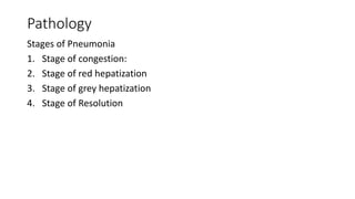 Pathology
Stages of Pneumonia
1. Stage of congestion:
2. Stage of red hepatization
3. Stage of grey hepatization
4. Stage of Resolution
 