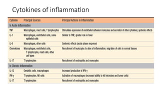Cytokines of inflammation
 