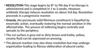 • RESOLUTION This stage begins by 8th
to 9th day if no therapy is
administered and is completed in 1 to 3 weeks. However,
antibiotic therapy induces resolution on about 3rd day. Resolution
proceeds in a progressive manner.
• Grossly, the previously solid fibrinous constituent is liquefied by
enzymatic action, eventually restoring the normal aeration in the
affected lobe. The process of softening begins centrally and
spreads to the periphery.
• The cut surface is grey-red or dirty brown and frothy, yellow,
creamy fluid can be expressed on pressing.
• The pleural reaction may also show resolution but may undergo
organisation leading to fibrous obliteration of pleural cavity.
 