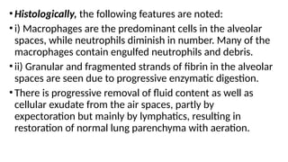 •Histologically, the following features are noted:
•i) Macrophages are the predominant cells in the alveolar
spaces, while neutrophils diminish in number. Many of the
macrophages contain engulfed neutrophils and debris.
•ii) Granular and fragmented strands of fibrin in the alveolar
spaces are seen due to progressive enzymatic digestion.
•There is progressive removal of fluid content as well as
cellular exudate from the air spaces, partly by
expectoration but mainly by lymphatics, resulting in
restoration of normal lung parenchyma with aeration.
 