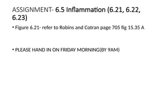 ASSIGNMENT- 6.5 Inflammation (6.21, 6.22,
6.23)
• Figure 6.21- refer to Robins and Cotran page 705 fig 15.35 A
• PLEASE HAND IN ON FRIDAY MORNING(BY 9AM)
 