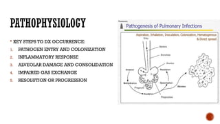 pneumonia in adults. causes, epidemiology, clinical presentation and ...