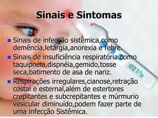Sinais e Sintomas
 Sinais de infecção sistêmica,como
demência,letargia,anorexia e febre.
 Sinais de insuficiência respiratória como
taquipnéia,dispnéia,gemido,tosse
seca,batimento de asa de nariz.
 Respirações irregulares,cianose,retração
costal e esternal,além de estertores
crepitantes e subcrepitantes e múrmurio
vesicular diminuído,podem fazer parte de
uma infecção Sistêmica.
 