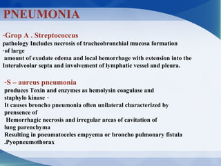 PNEUMONIA
-Grop A . Streptococcus
pathology Includes necrosis of tracheobronchial mucosa formation
-of large
amount of exudate edema and local hemorrhage with extension into the
Interalveolar septa and involvement of lymphatic vessel and pleura.
-S – aureus pneumonia
produces Toxin and enzymes as hemolysin coagulase and
-staphylo kinase
It causes broncho pneumonia often unilateral characterized by
prensence of
Hemorrhagic necrosis and irregular areas of cavitation of
lung parenchyma
Resulting in pneumatoceles empyema or broncho pulmonary fistula
Pyopneumothorax.
 