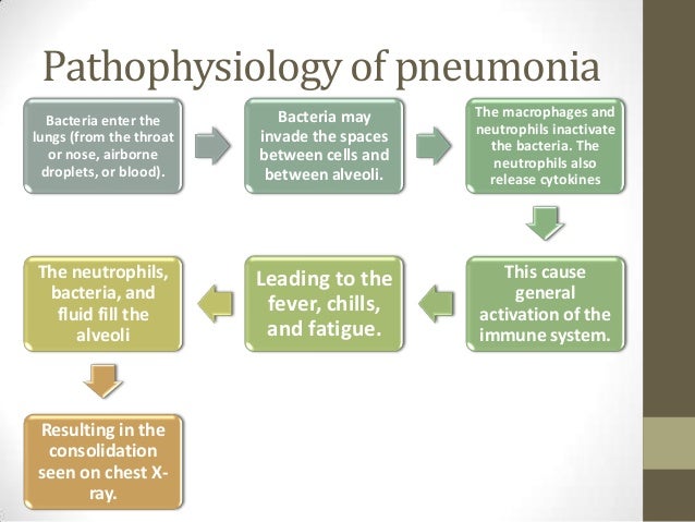 pathophysiology pneumonia Community acquired pneumonia: for medical residents gonzalo bearman md, mph • bacteriology and pathophysiology - typical vs atypical pathogens • therapy - inpatient vs outpatient • pneumonia severity index - therapy • outpatient, inpatient, icu. pathophysiology pneumonia Community acquired pneumonia: for medical residents gonzalo bearman md, mph • bacteriology and pathophysiology - typical vs atypical pathogens • therapy - inpatient vs outpatient • pneumonia severity index - therapy • outpatient, inpatient, icu.