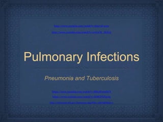 Pulmonary Infections
Pneumonia and Tuberculosis
http://www.youtube.com/watch?v=h6z7Af-ssxw
http://www.youtube.com/watch?v=2vGuCK_HOLQ
https://www.youtube.com/watch?v=SEhAFmtaOCY
https://www.youtube.com/watch?v=lhMCFGPqvJg
http://videocast.nih.gov/Summary.asp?File=15873&bhcp=1
 