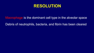 RESOLUTION
Macrophage is the dominant cell type in the alveolar space
Debris of neutrophils, bacteria, and fibrin has been cleared
 