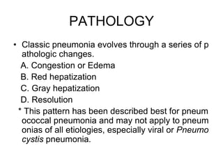 PATHOLOGY
• Classic pneumonia evolves through a series of p
athologic changes.
A. Congestion or Edema
B. Red hepatization
C. Gray hepatization
D. Resolution
* This pattern has been described best for pneum
ococcal pneumonia and may not apply to pneum
onias of all etiologies, especially viral or Pneumo
cystis pneumonia.
 