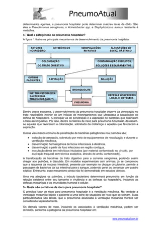 determinados agentes, a pneumonia hospitalar pode determinar maiores taxas de óbito. São
eles a Pseudomonas aeruginosa, o Acinetobacter spp. e Staphylococcus aureus resistente à
meticilina.
4 - Qual a patogênese da pneumonia hospitalar?
A figura 1 ilustra os principais mecanismos de desenvolvimento da pneumonia hospitalar.




Dentro desse esquema, o desenvolvimento da pneumonia hospitalar decorre da penetração no
trato respiratório inferior de um inóculo de microrganismos que ultrapassa a capacidade de
defesa do hospedeiro. A principal via de penetração é a aspiração de bactérias que colonizam
o trato aerodigestivo. Por isso, dentre os fatores de risco para pneumonia hospitalar, destacam-
se aqueles que favorecem a colonização, sobretudo da orofaringe e aqueles que favorecem a
aspiração.

Outras vias menos comuns de penetração de bactérias patogênicas nos pulmões são;
    • inalação de aerossóis, sobretudo por meio de equipamentos de nebulização e durante a
      ventilação mecânica,
    • disseminação hematogênica de focos infecciosos à distância,
    • disseminação a partir de foco infeccioso em região contígua,
    • inoculação direta em indivíduos intubados (por material contaminado no circuito, por
      aspiração traqueal sem técnica asséptica, através de ambu contaminado).
A translocação de bactérias do trato digestivo para a corrente sangüínea, podendo assim
chegar aos pulmões, é discutida. Em modelos experimentais com animais, já se comprovou
que a isquemia da mucosa intestinal, presente por exemplo no choque circulatório, permite a
passagem de bactérias da luz intestinal para o sangue, podendo gerar ou perpetuar um quadro
séptico. Entretanto, esse mecanismo ainda não foi demonstrado em estudos clínicos.

Uma vez atingidos os pulmões, o inóculo bacteriano determinará pneumonia em função da
relação existente entre seu tamanho e virulência e as defesas do hospedeiro, incluindo as
defesas mecânicas e as imunidades humoral e celular.
5 - Quais são os fatores de risco para pneumonia hospitalar?
O principal fator de risco para pneumonia hospitalar é a ventilação mecânica. Na verdade a
ventilação mecânica expõe o paciente a uma série de situações de risco que se somam. Suas
particularidades são tantas, que a pneumonia associada à ventilação mecânica merece ser
considerada separadamente.

Os demais fatores de risco, incluindo os associados à ventilação mecânica, podem ser
divididos, conforme a patogenia da pneumonia hospitalar em:


                                                                          www.pneumoatual.com.br
 