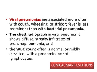 • Viral pneumonias are associated more often
with cough, wheezing, or stridor; fever is less
prominent than with bacterial pneumonia.
• The chest radiograph in viral pneumonia
shows diffuse, streaky infiltrates of
bronchopneumonia, and
• the WBC count often is normal or mildly
elevated, with a predominance of
lymphocytes.
CLINICAL MANIFESTATIONS
 