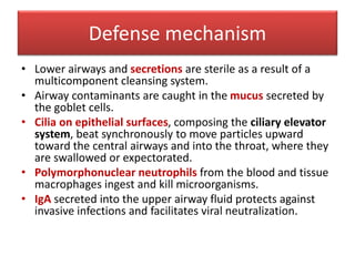 Defense mechanism
• Lower airways and secretions are sterile as a result of a
multicomponent cleansing system.
• Airway contaminants are caught in the mucus secreted by
the goblet cells.
• Cilia on epithelial surfaces, composing the ciliary elevator
system, beat synchronously to move particles upward
toward the central airways and into the throat, where they
are swallowed or expectorated.
• Polymorphonuclear neutrophils from the blood and tissue
macrophages ingest and kill microorganisms.
• IgA secreted into the upper airway fluid protects against
invasive infections and facilitates viral neutralization.
 